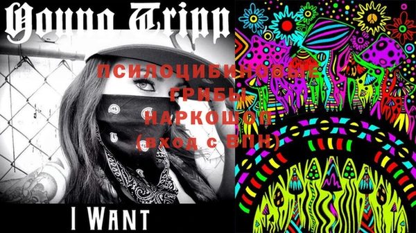 PSILOCYBIN Каменск-Шахтинский