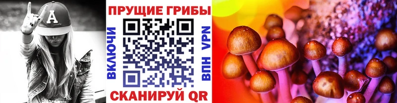 наркота Сибай Псилоцибиновые грибы Psilocybe